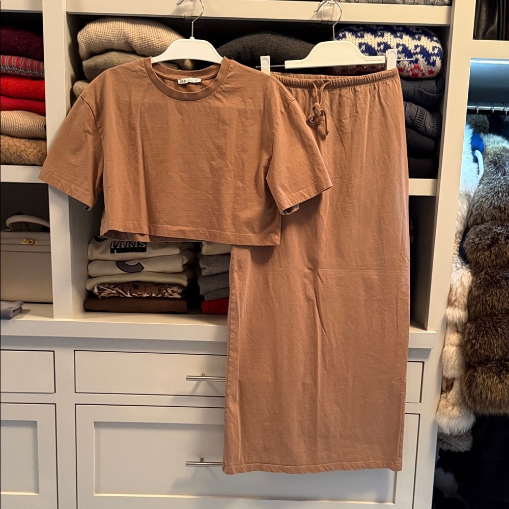 Zara Brown Maxi Skirt